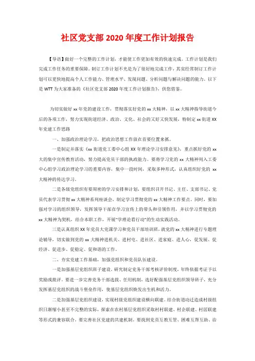 社区党支部2020年度工作计划报告
