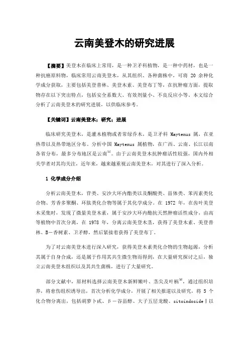 云南美登木的研究进展