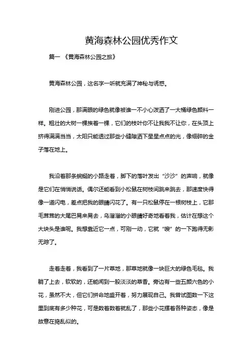 黄海森林公园优秀作文