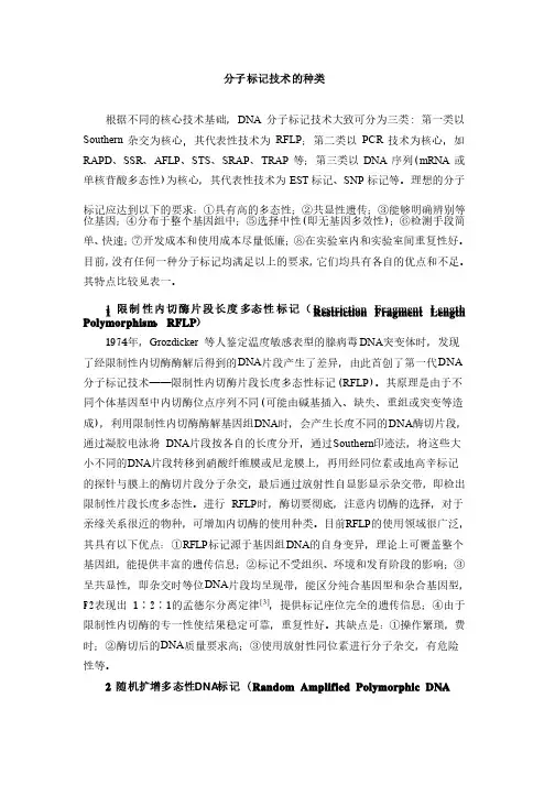 分子标记技术的种类