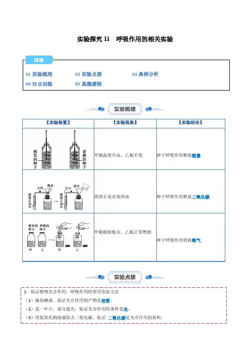 实验探究11 呼吸作用的相关实验(解析版)