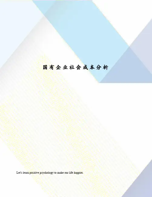 国有企业社会成本分析