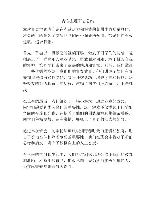青春主题班会总结