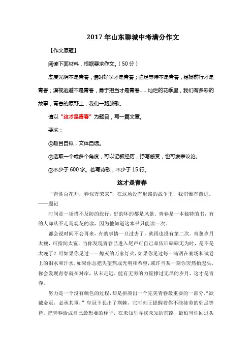 2017年山东聊城中考满分作文《这才是青春》4