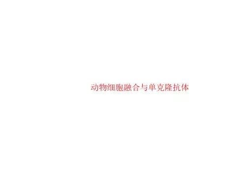 动物细胞融合与单克隆抗体 课件