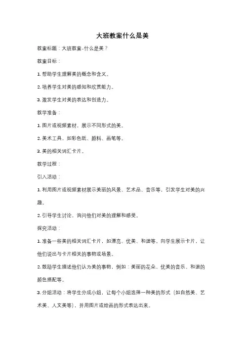 大班教案什么是美