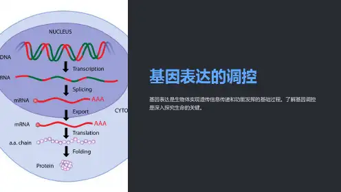 基因表达的调控