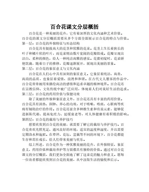 百合花课文分层概括