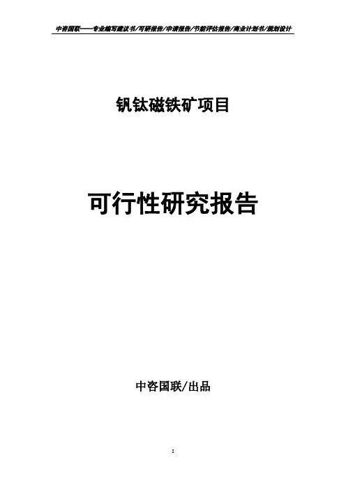 钒钛磁铁矿项目可行性研究报告