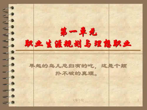 面向未来的职业生涯规精品文档