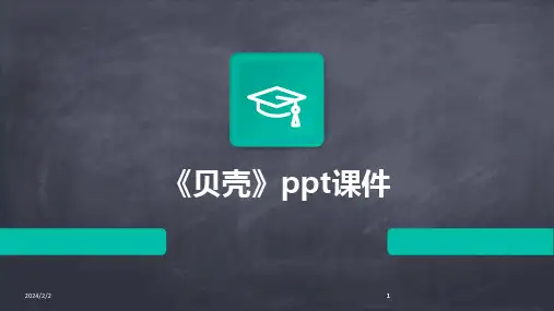 2024版年度《贝壳》ppt课件