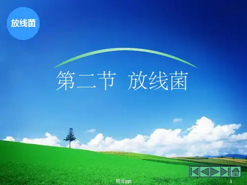 放线菌其他原核微生物