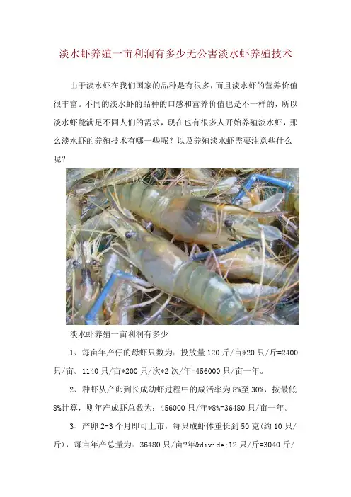 淡水虾养殖一亩利润有多少 无公害淡水虾养殖技术