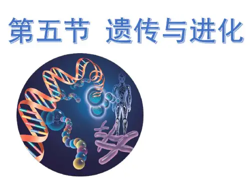 浙教版九级科学下册《进化与遗传》教学PPT