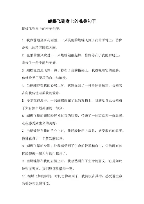 蝴蝶飞到身上的唯美句子
