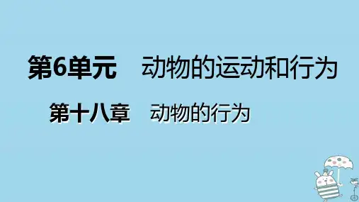 八年级生物上册第十八章第二节动物行为的生理基础课件(新版)苏教版(18张)