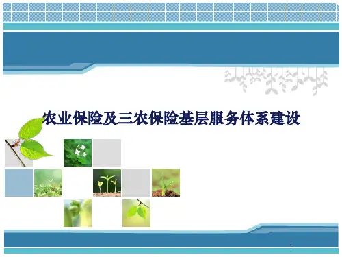 农业保险及三农保险基层服务体系建设