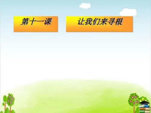 让我们寻根PPT课件｜苏教版2