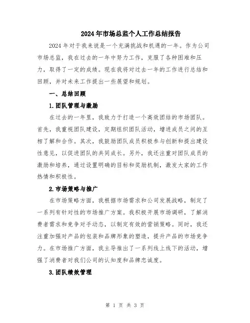 2024年市场总监个人工作总结报告