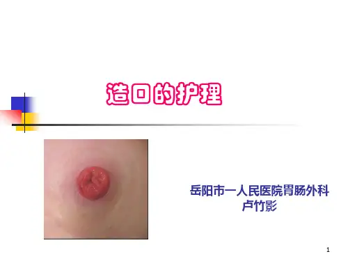 造口护理PPT参考课件