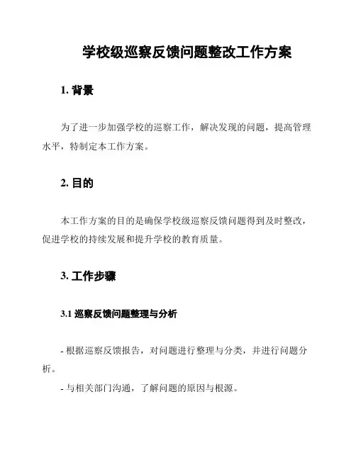 学校级巡察反馈问题整改工作方案