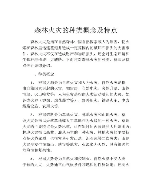 森林火灾的种类概念及特点
