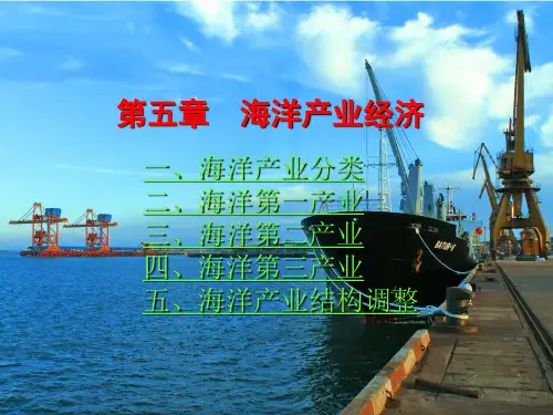 (5)海洋产业结构