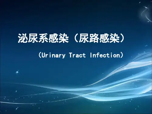 泌尿系感染尿路感染ppt课件