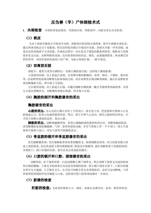 反刍兽尸体剖检术式