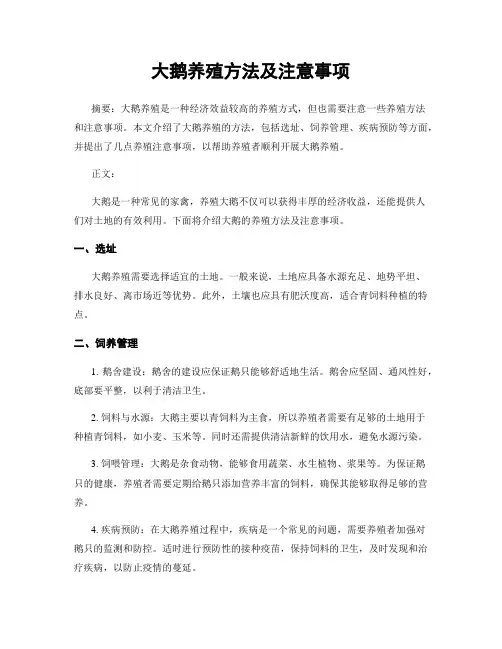 大鹅养殖方法及注意事项