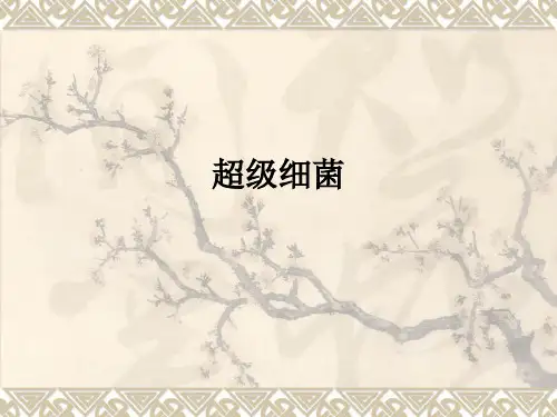超级细菌ppt课件