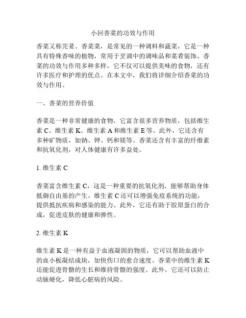 小回香菜的功效与作用