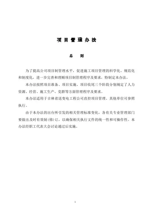 项目管理办法3