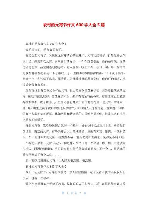 农村的元宵节作文600字大全5篇
