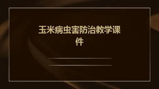 玉米病虫害防治教学课件