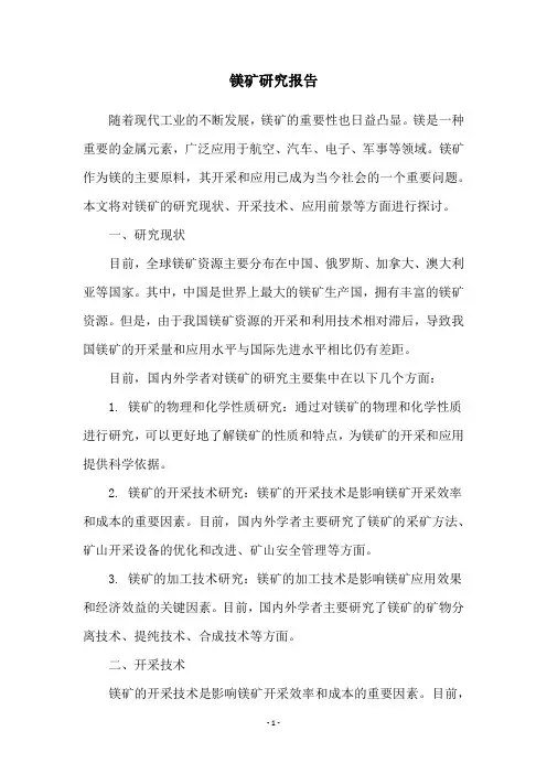 镁矿研究报告
