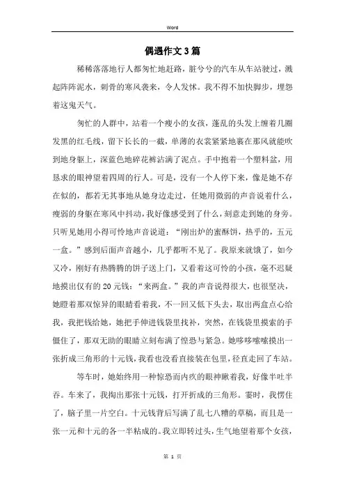 偶遇作文3篇