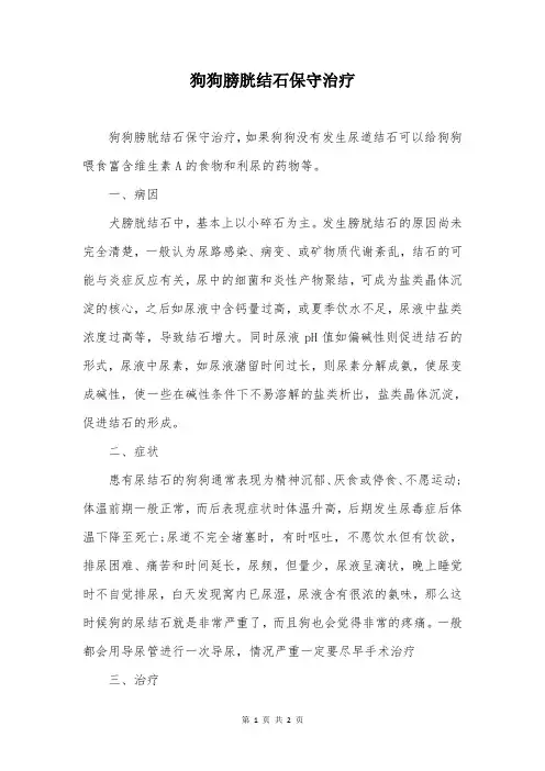 狗狗膀胱结石保守治疗