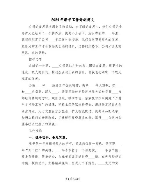 2024年新年工作计划范文（四篇）