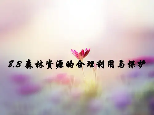 森林资源的合理利用与保护PPT精品课件
