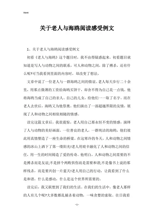 关于老人与海鸥阅读感受例文