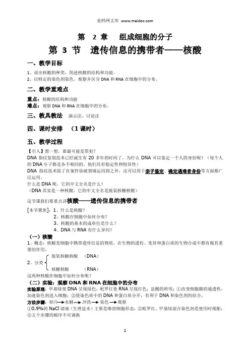 2.3遗传信息的携带者—核酸教案