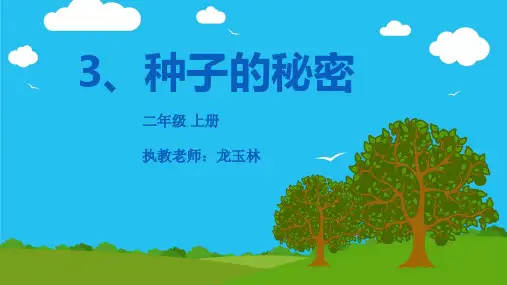 种子的秘密
