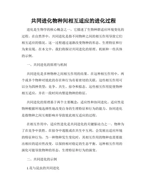 共同进化物种间相互适应的进化过程
