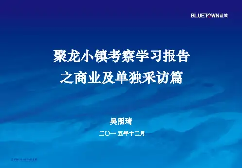 聚龙小镇考察报告 商业配套与运营