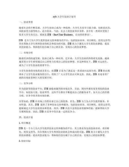 syb大学生创业计划书