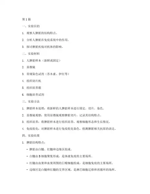 人脾实验报告手绘(3篇)