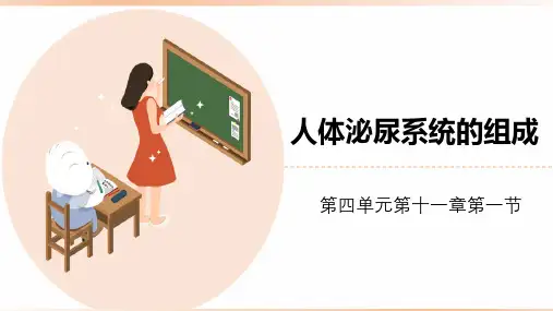 苏教版七年级生物下册《人体泌尿系统的组成》原创精品套件(课件)