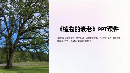 《植物的衰老》课件