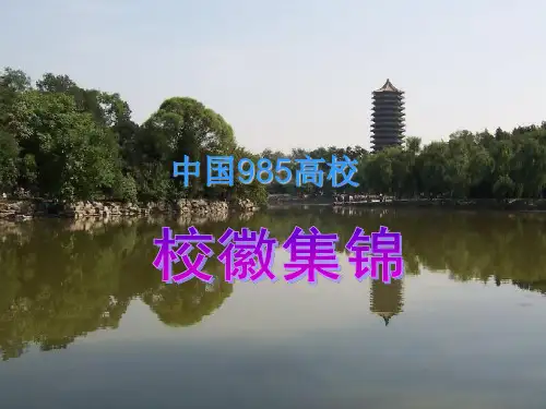 中国 高校校徽集锦 高清大图无水印 